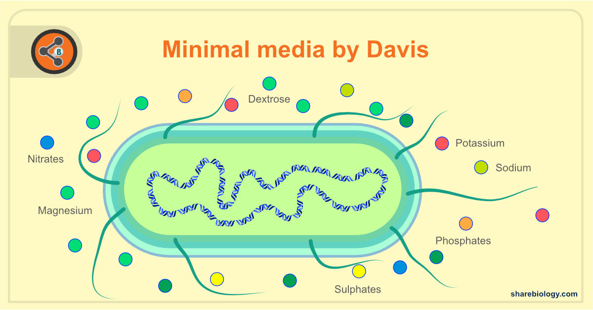 List of culture media used in microbiology with their uses