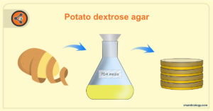 steps involved in potato dextrose agar preparation