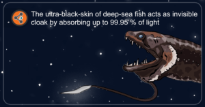 the ultra black skin of deep-sea fish acts as invisible cloak by absorbing up to 99.95% of light