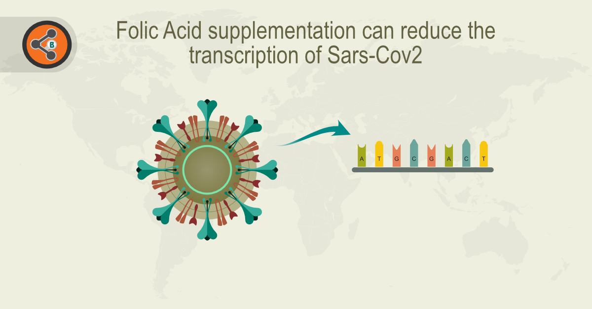 Folic Acid supplementation can reduce the transcription of Sars-Cov2