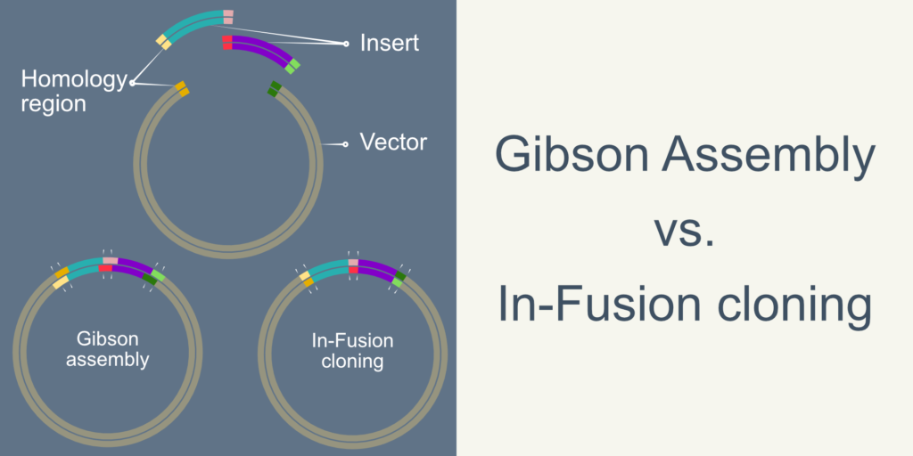 Gibson vs In Fusion hero image